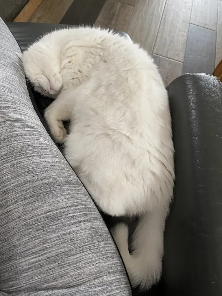 Condolence image of Deine Mami♥️