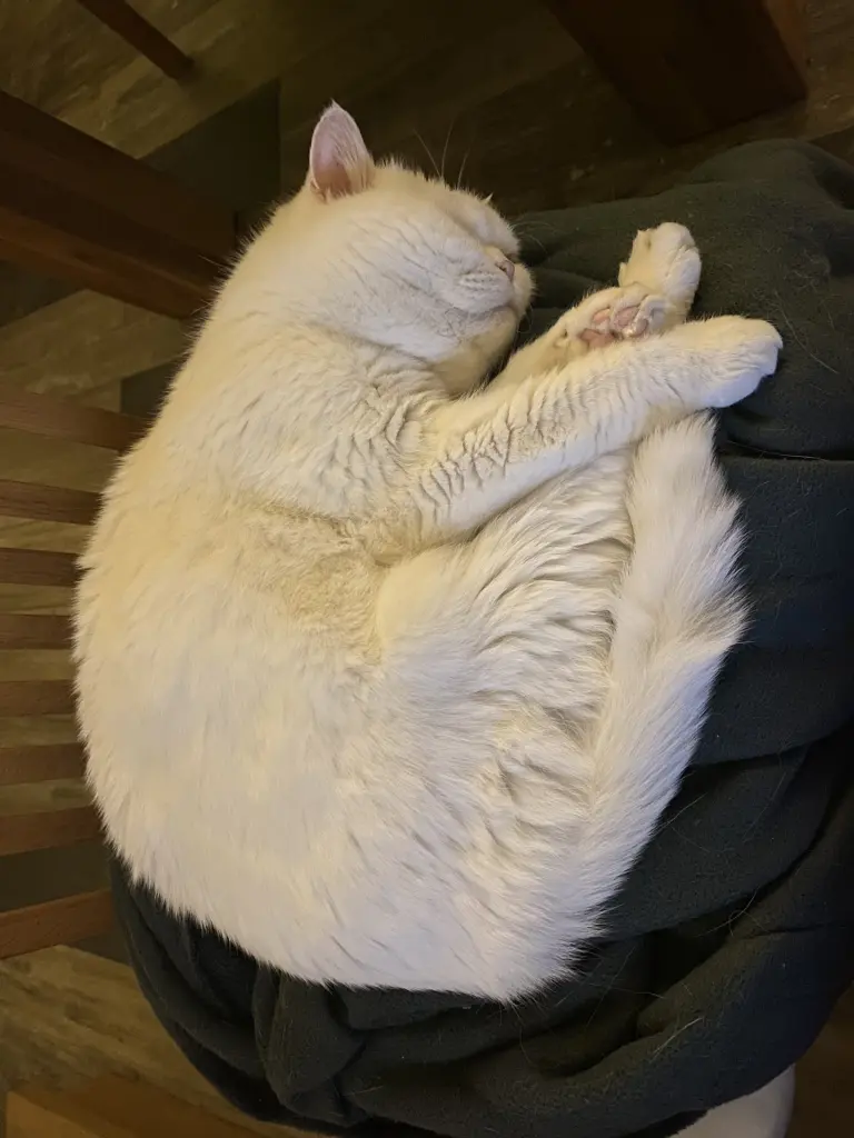 Condolence image of Deine Mami❤️