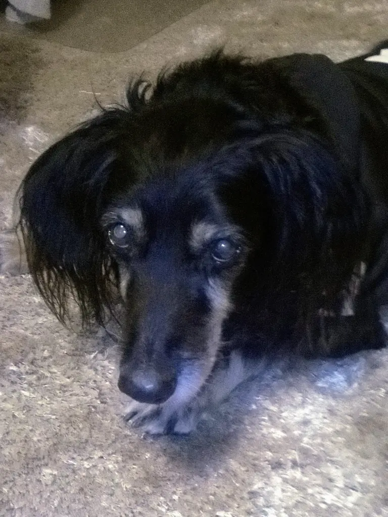 Condolence image of Claudie