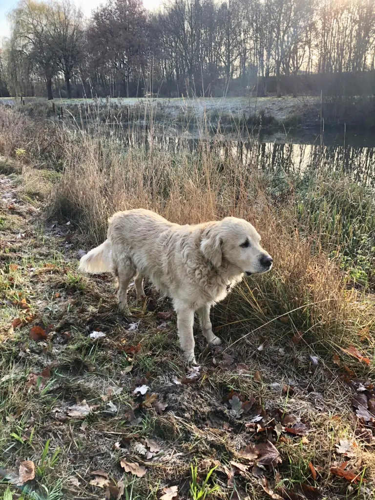 Condolence image of Andy und Piet