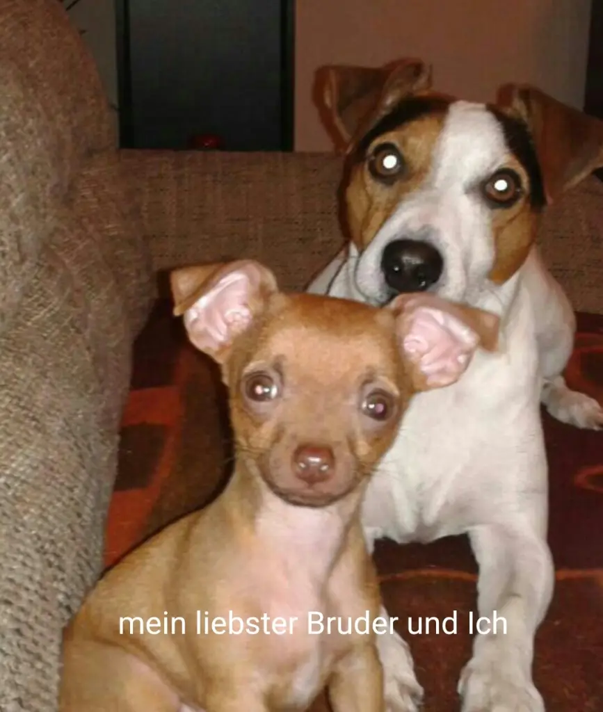 Condolence image of Deine Menschenmama