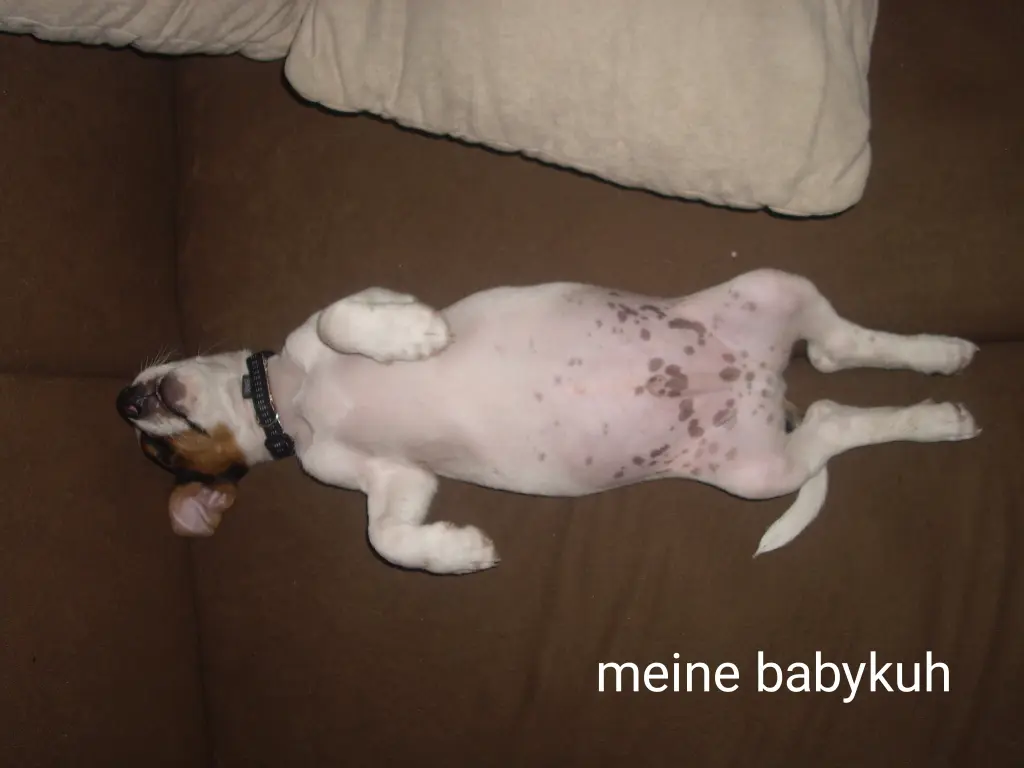 Condolence image of Deine Menschenmama