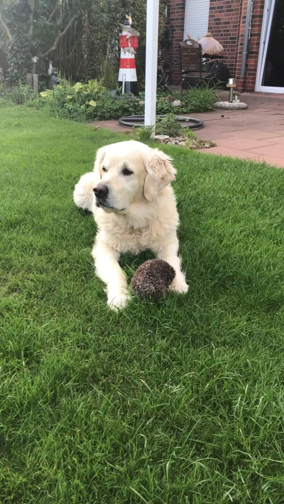 Condolence image of Andy und Piet