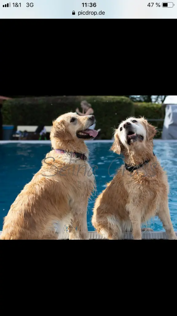 Condolence image of Daniela Göbel