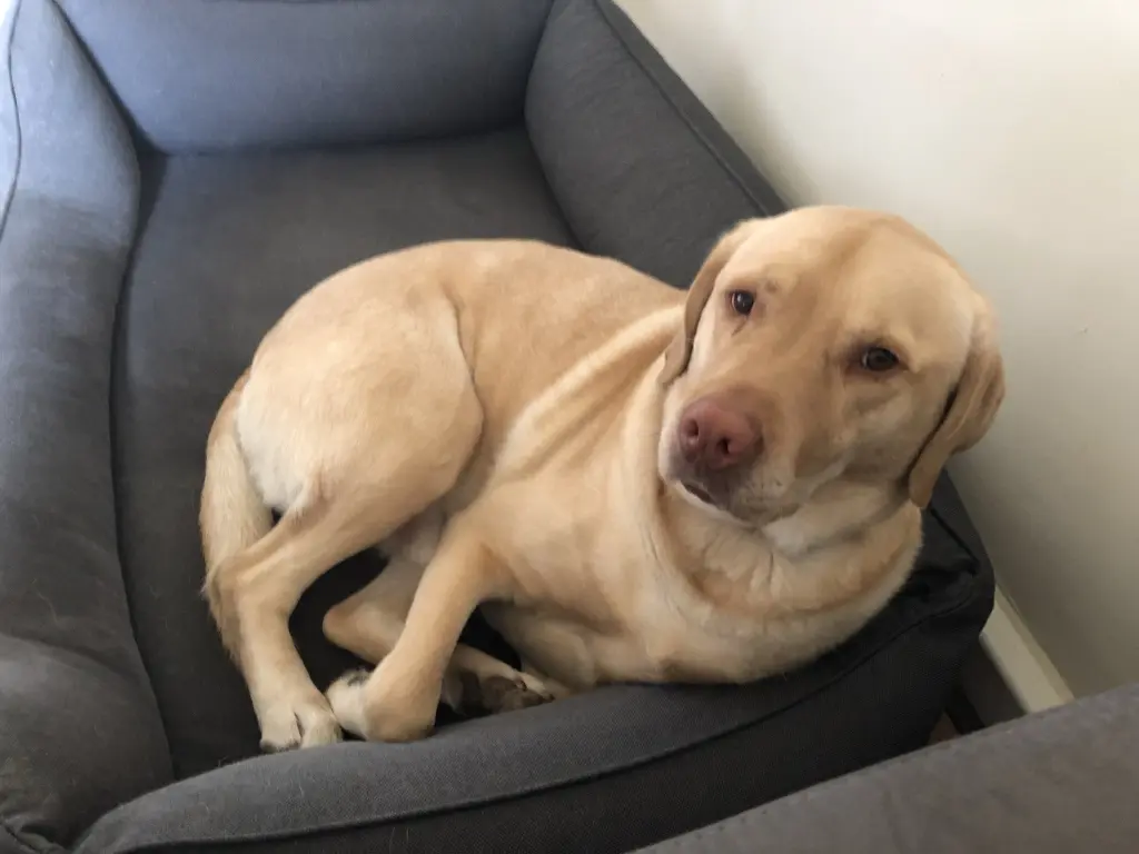 Condolence image of so Loveless withouT you