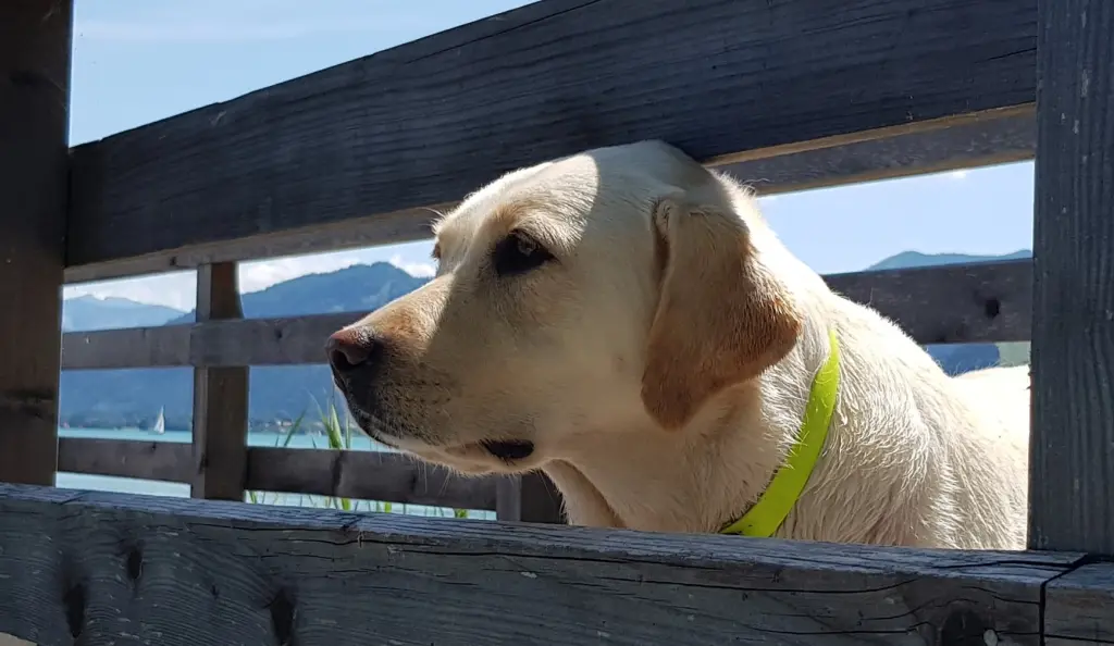 Condolence image of Miriam