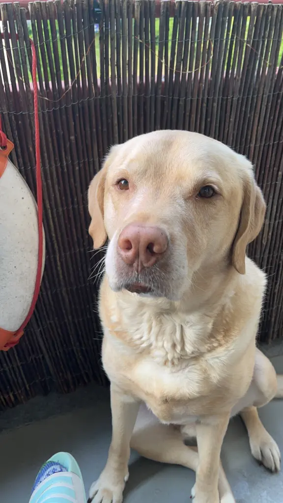 Condolence image of Lena