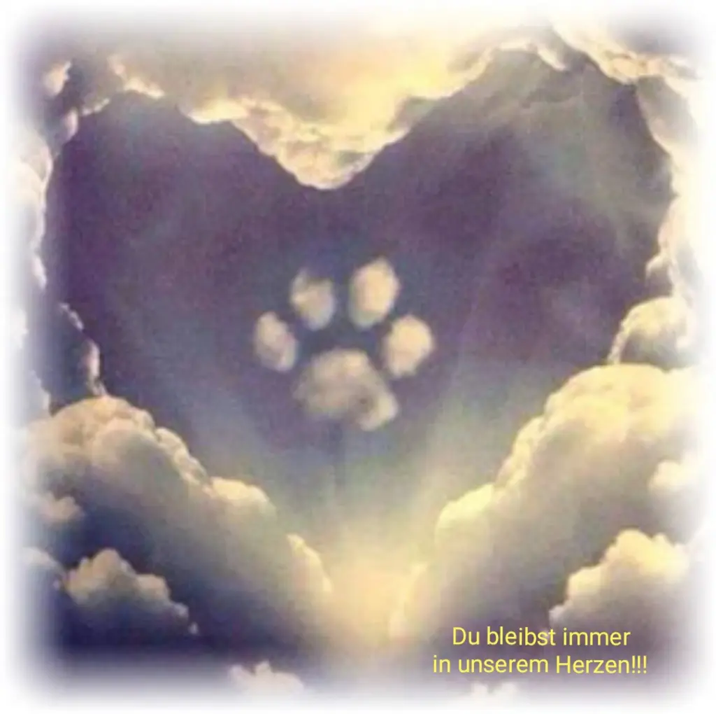 Condolence image of Alice