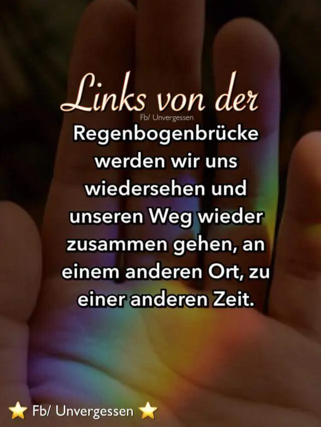 Condolence image of Dein Frauchen 