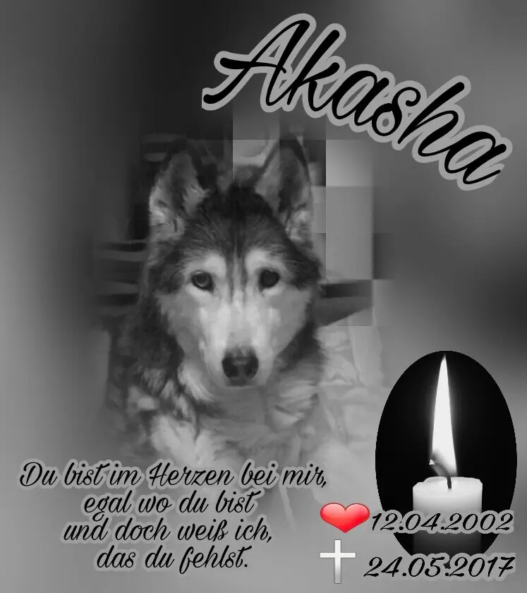 Condolence image of Dein Frauchen 