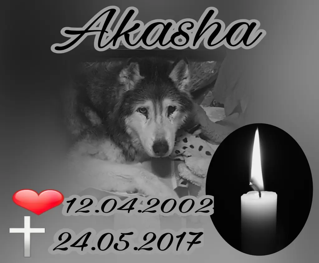 Condolence image of Helga