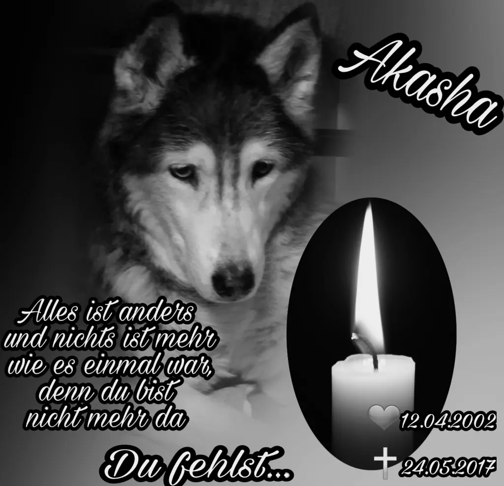 Condolence image of Michelle Derya