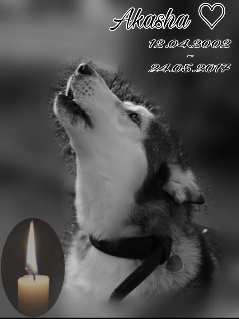 Condolence image of Michelle