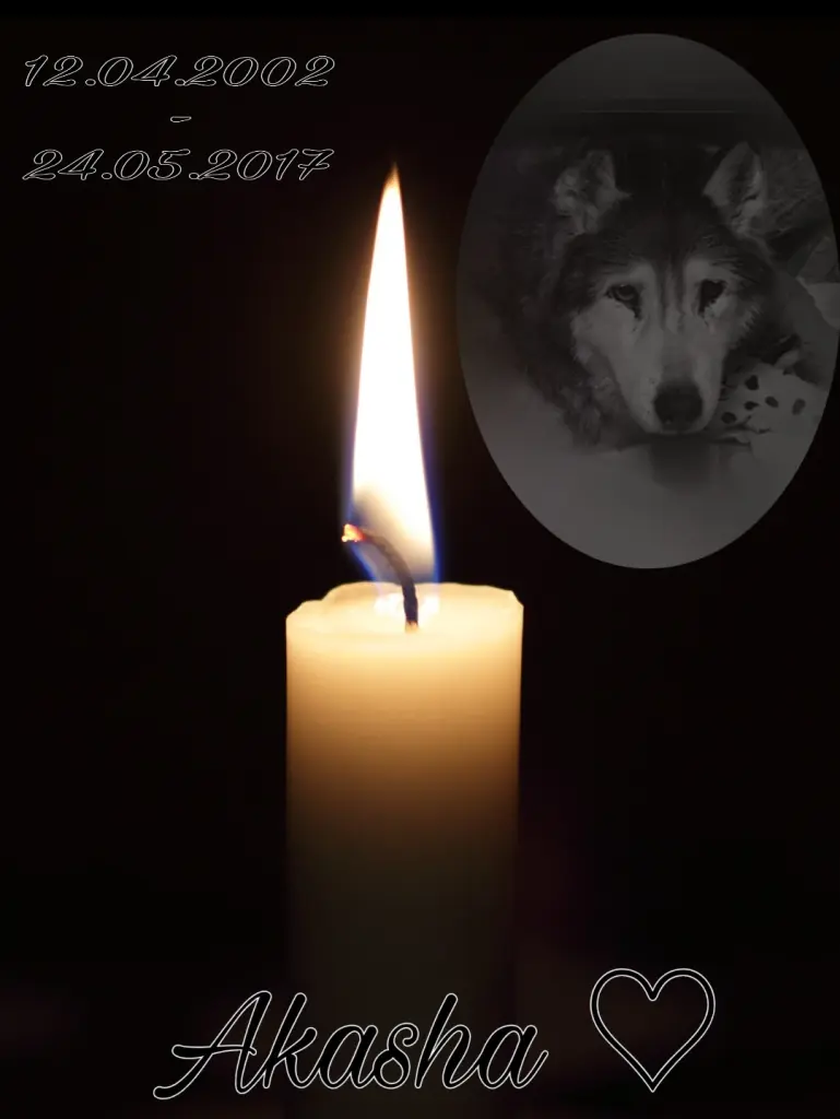 Condolence image of Helga