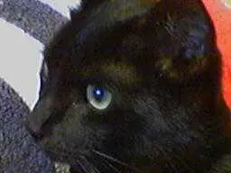 Condolence image of erika