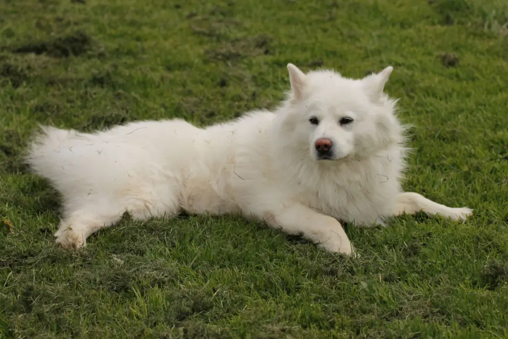 Image from Frodo