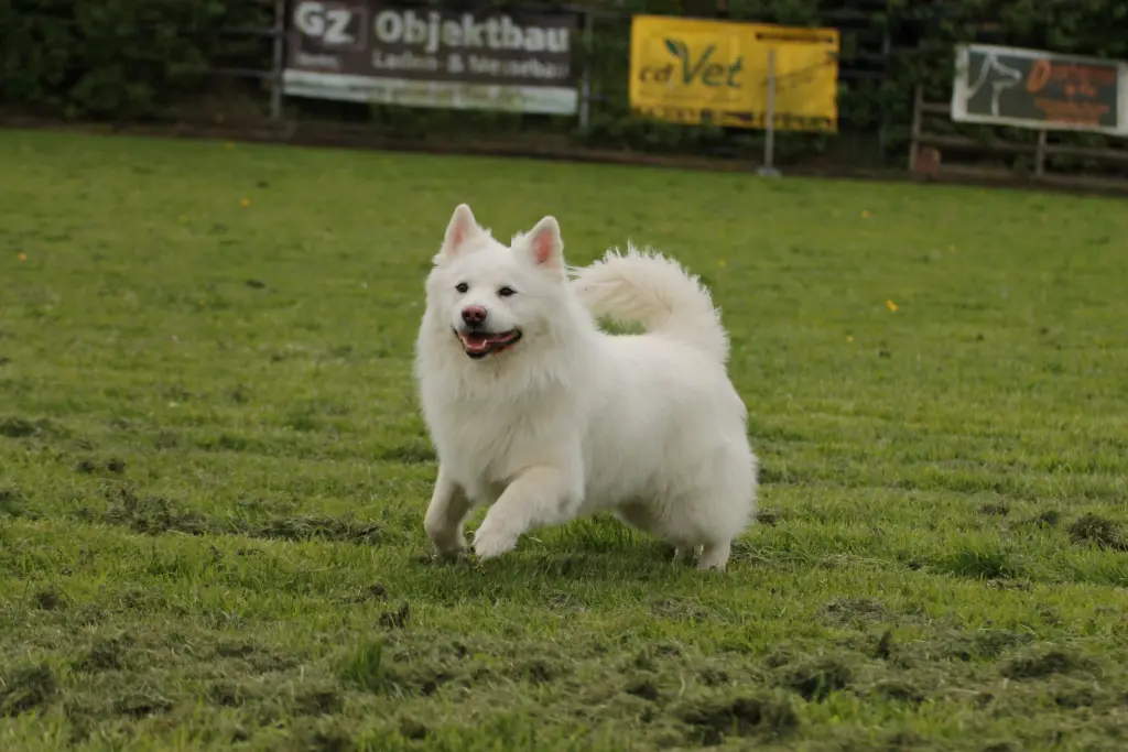 Image from Frodo