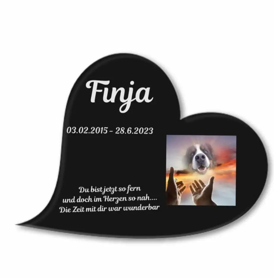 Image from Finja