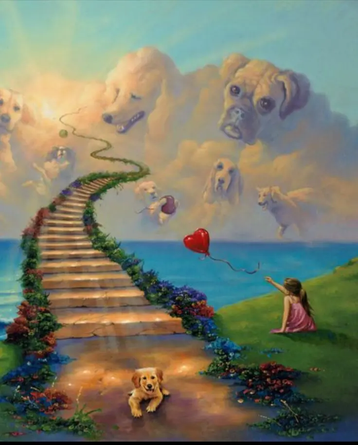 Condolence image of Martina mit Seelenhund Samy ♥️⭐♥️ für immer im Herzen