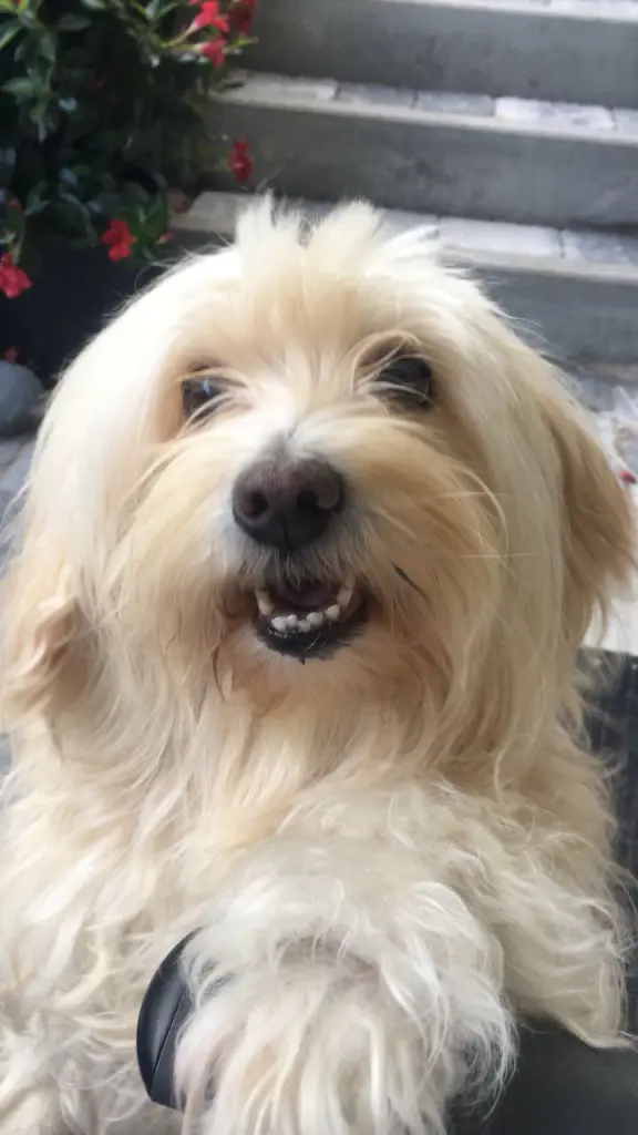 Condolence image of Heike