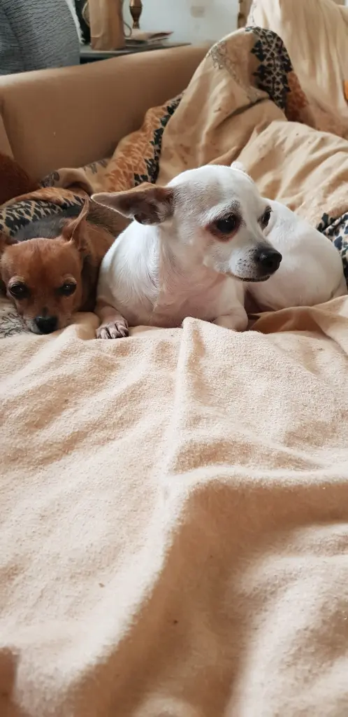 Condolence image of Reinhard Baier