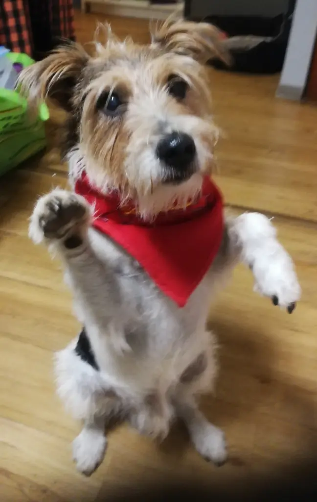 Condolence image of Nina & Ike