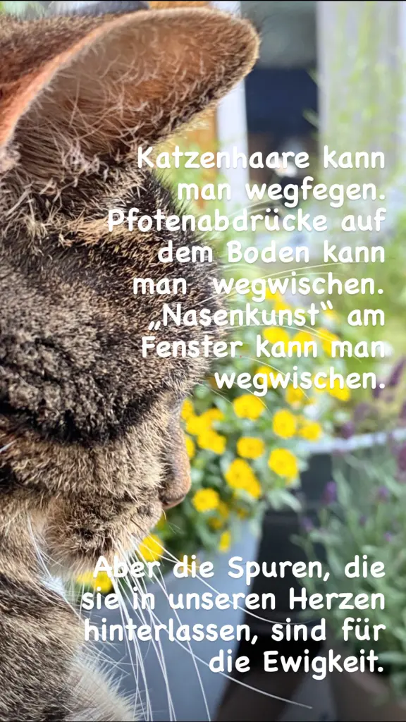 Condolence image of Claudia 