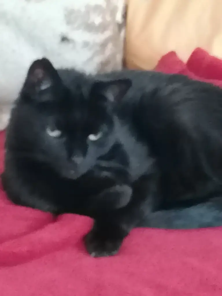 Condolence image of Andrea