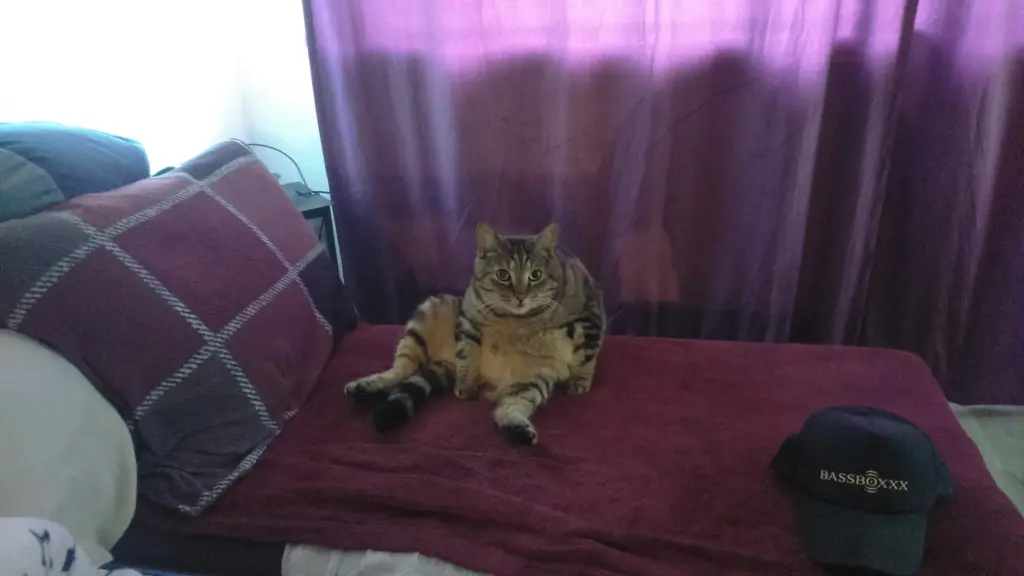 Condolence image of Tobias