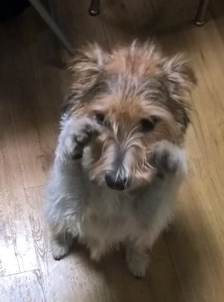 Andachtsbild von Nina & Ike mit Millow + am 23. Mai 2023