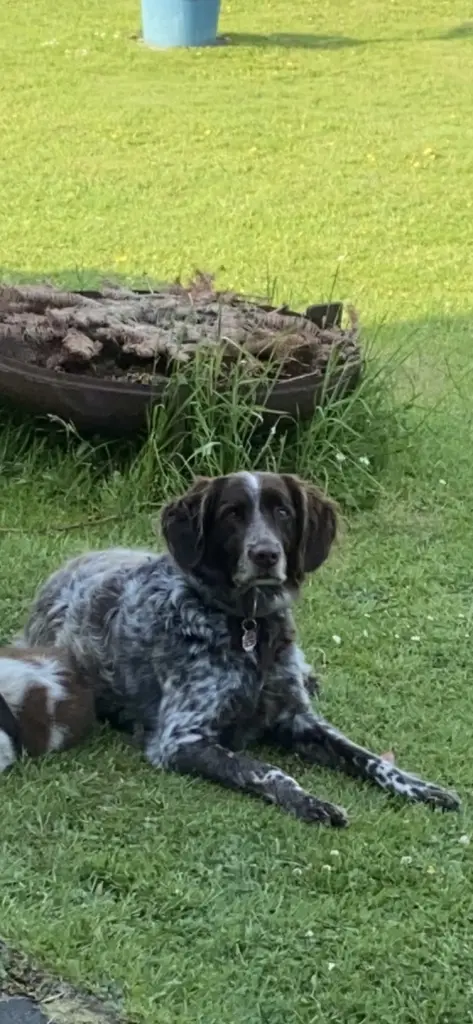 Andachtsbild von Cornelia