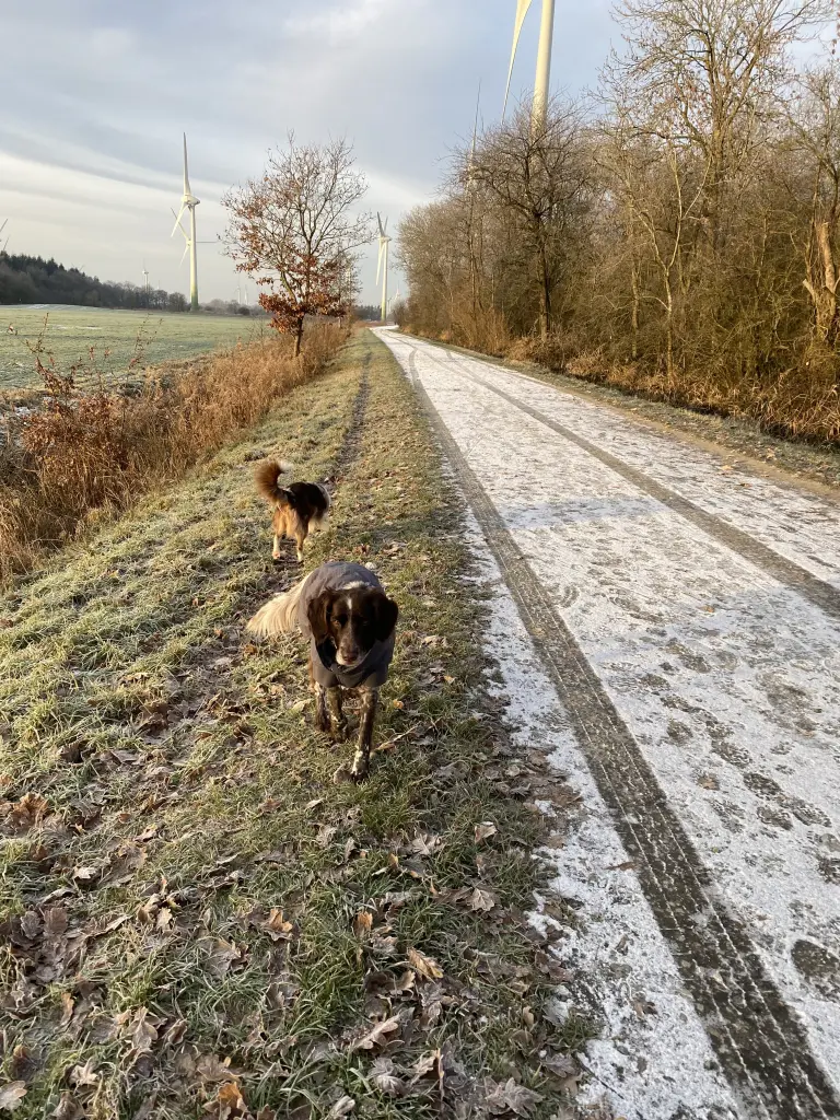 Andachtsbild von Unbekannt