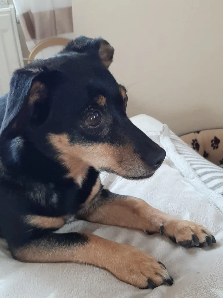 Andachtsbild von Kerstin