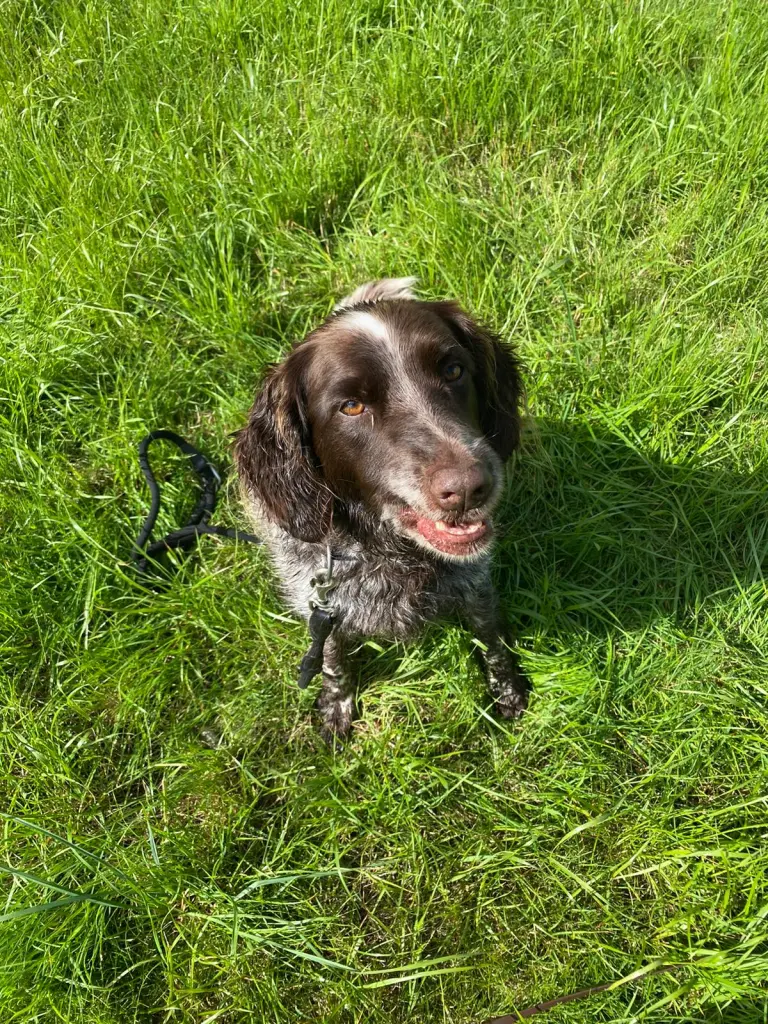 Andachtsbild von Cornelia