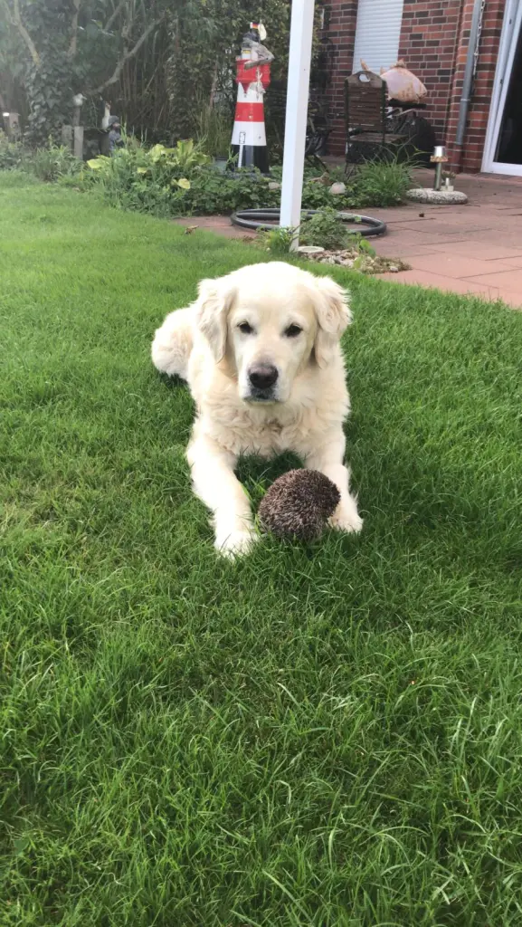 Condolence image of Andy und Piet