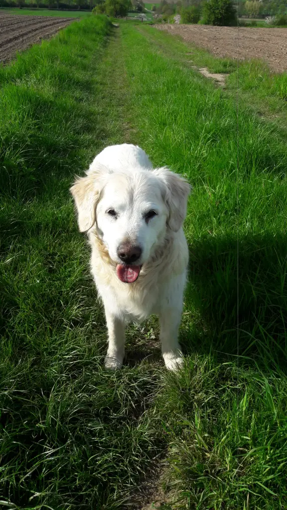 Condolence image of Annette und Michael Müller