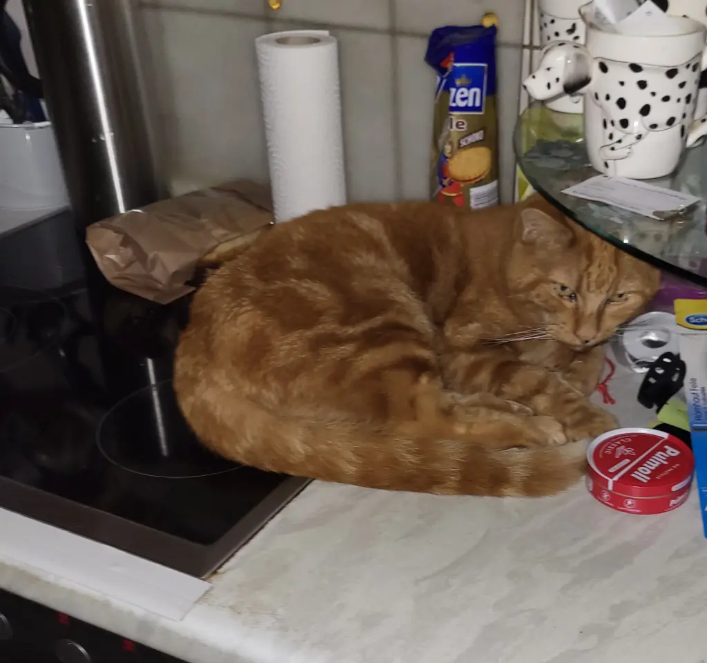 Condolence image of Ingrid 