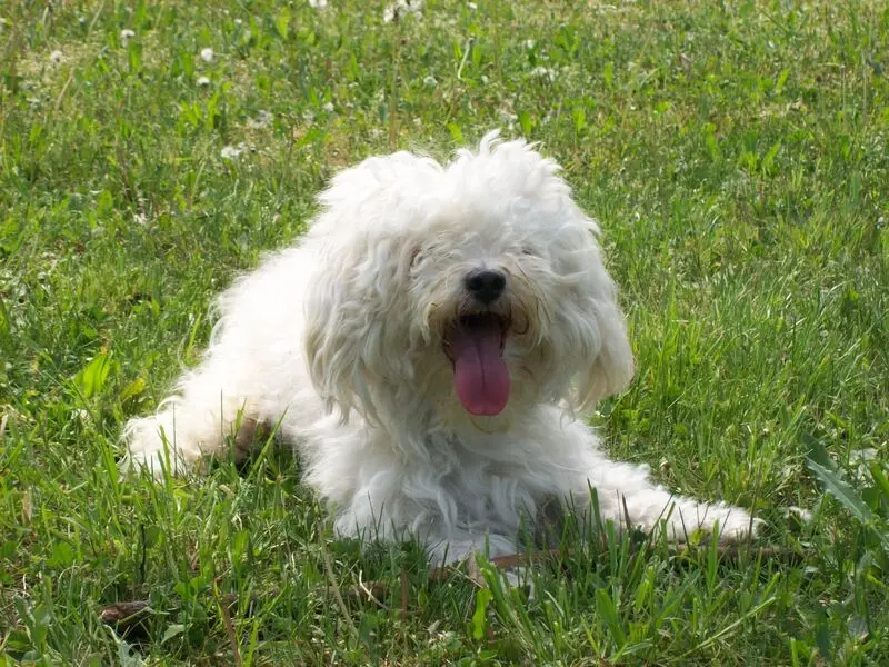 Condolence image of Unbekannt