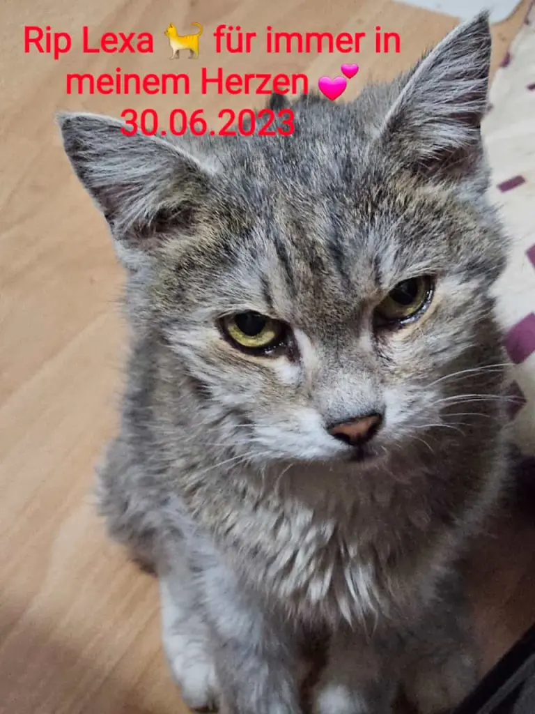 Condolence image of Andi