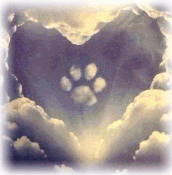 Condolence image of Ines Ress