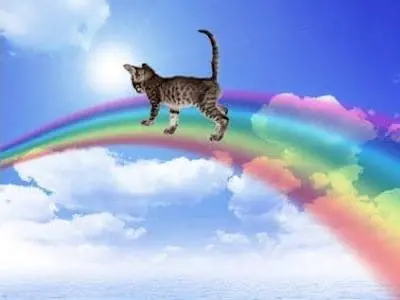 Condolence image of Helen , Karin 