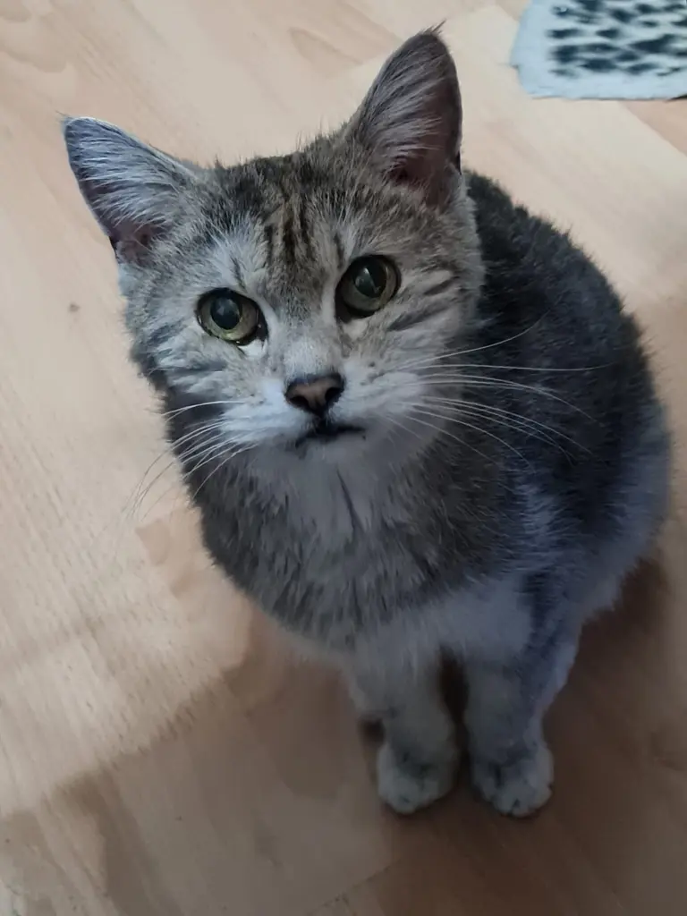 Condolence image of Nicole