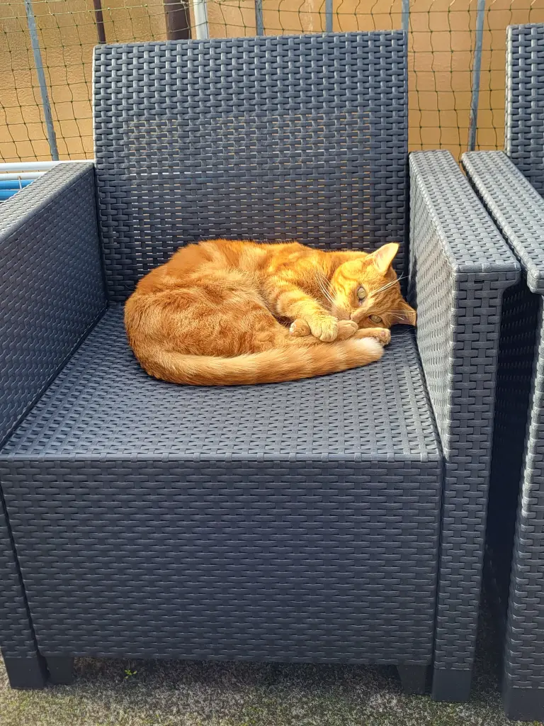 Condolence image of Ingrid 