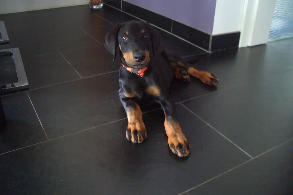 Condolence image of Unbekannt