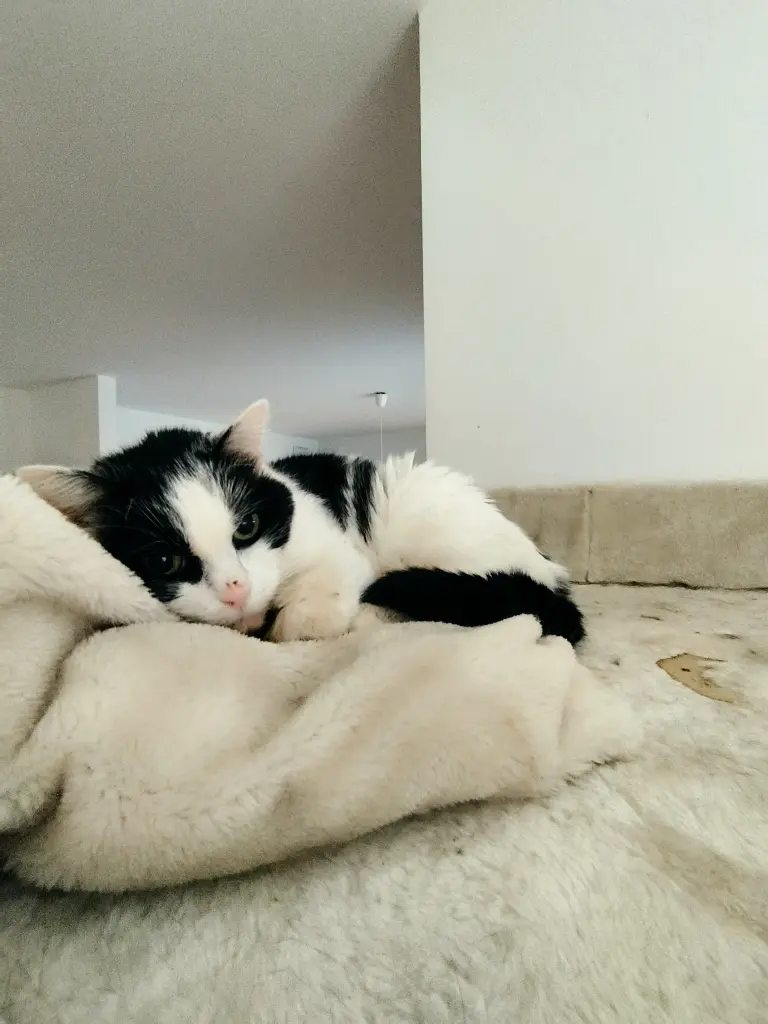 Condolence image of Lars