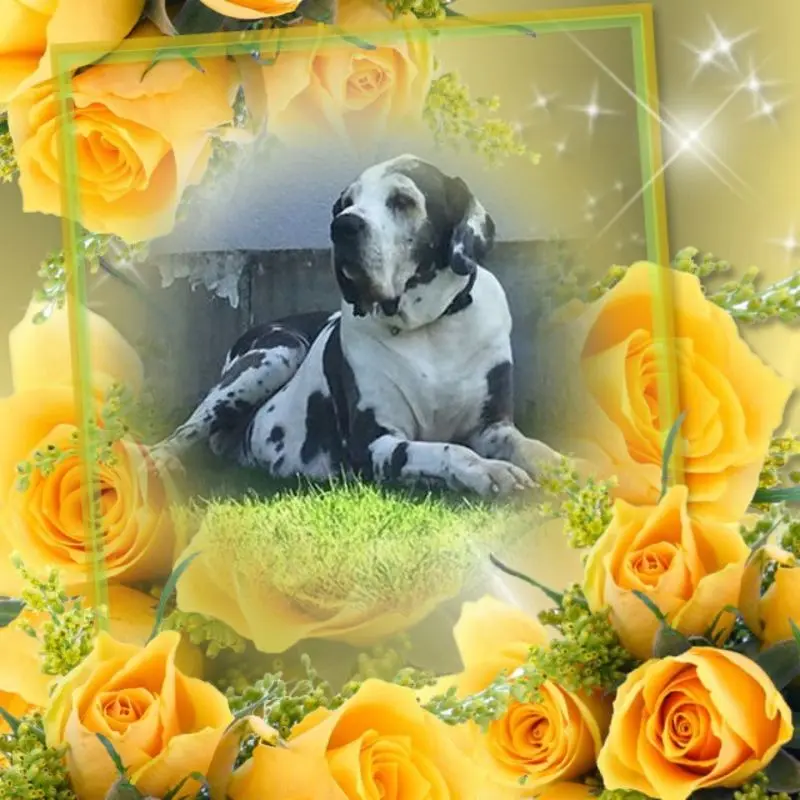 Condolence image of Unbekannt
