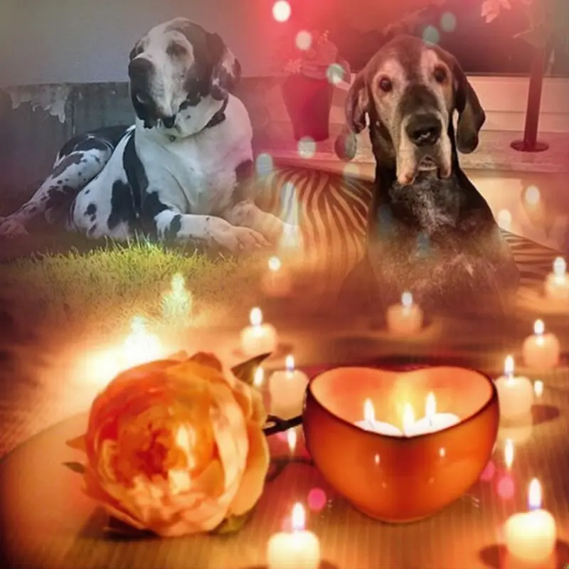 Condolence image of Gute Nacht❤️❤️❤️