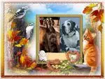 Condolence image of ❤️❤️❤️❤️❤️❤️❤️❤️❤️❤️❤️❤️❤️❤️