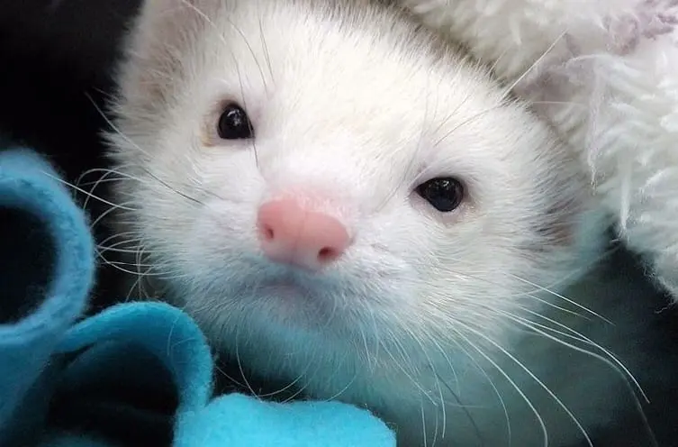 Condolence image of Unbekannt