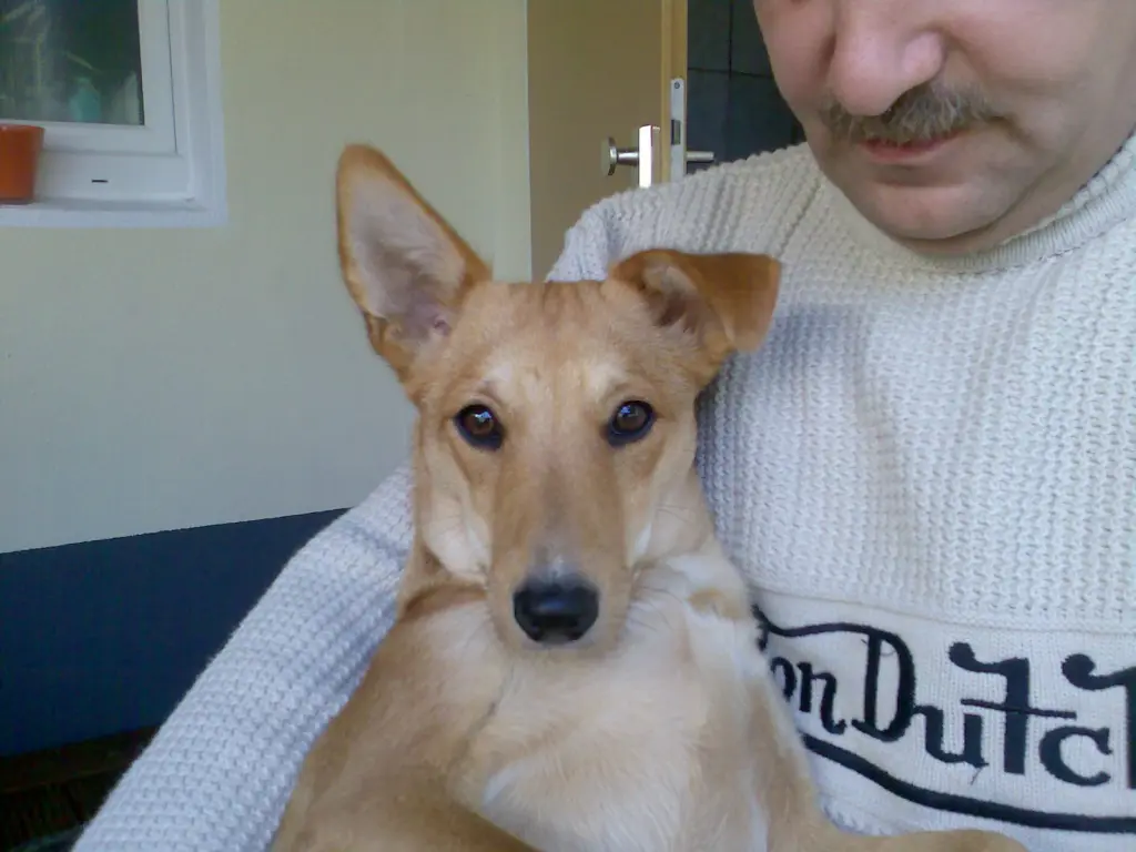 Condolence image of Nici Friemel